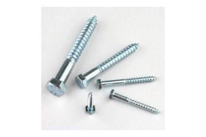 HEX COACH SCREW