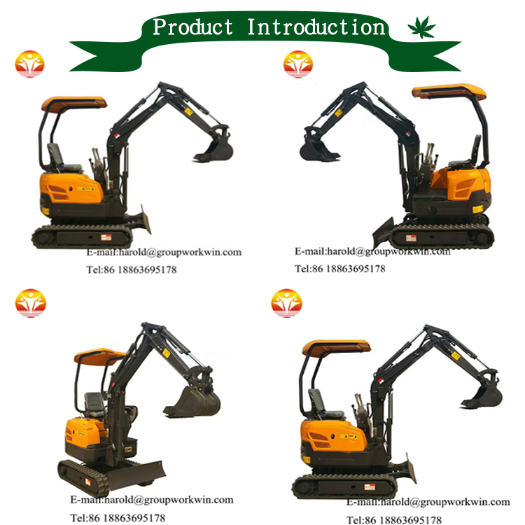 Mini excavator INTRO.jpg