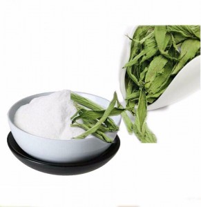 Wholesales stevia plant Natural organic stevia rebaudiana For sale