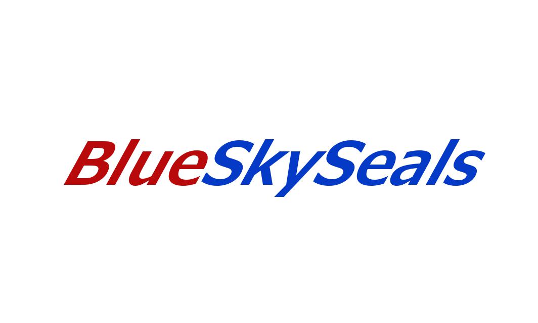 Jiashan Blue Sky Mechanical Seals Co Ltd