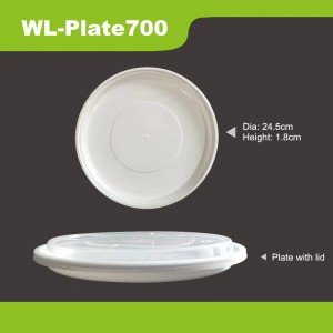 700ml plastic plate