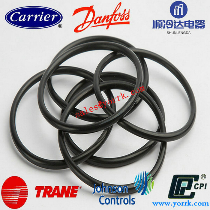 RNG01045 RNG01055 RNG01067 RNG01822 Condenser water chamber end cap sealing ring.jpg