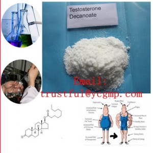 Factory Supply Femara High Purity Letrozole CAS: 112809-51-5 Anti Estrogen