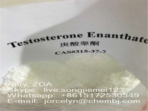 Testosterone Enanthate / jorcelyn@chembj.com