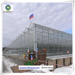 Venlo PC Sheet Greenhouse with China Factory Price for Tomato