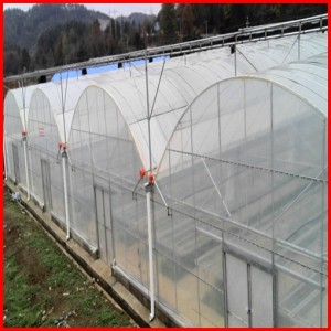 Low Cost Agriculture Multi Span Film Greenhouse for Mushroom