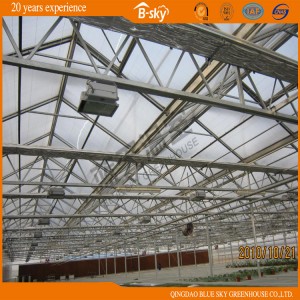 Durable Glass Greenhouse for Planting Vegetables and Fruits