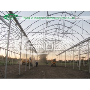 Multi-Span Agricultural Flower Greenhouse
