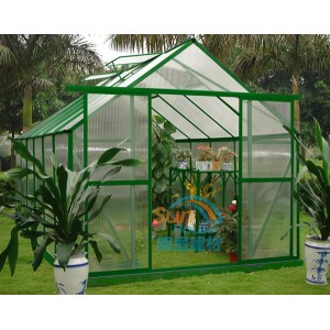 Clear Hollow Polycarbonate Sheet Greenhouse